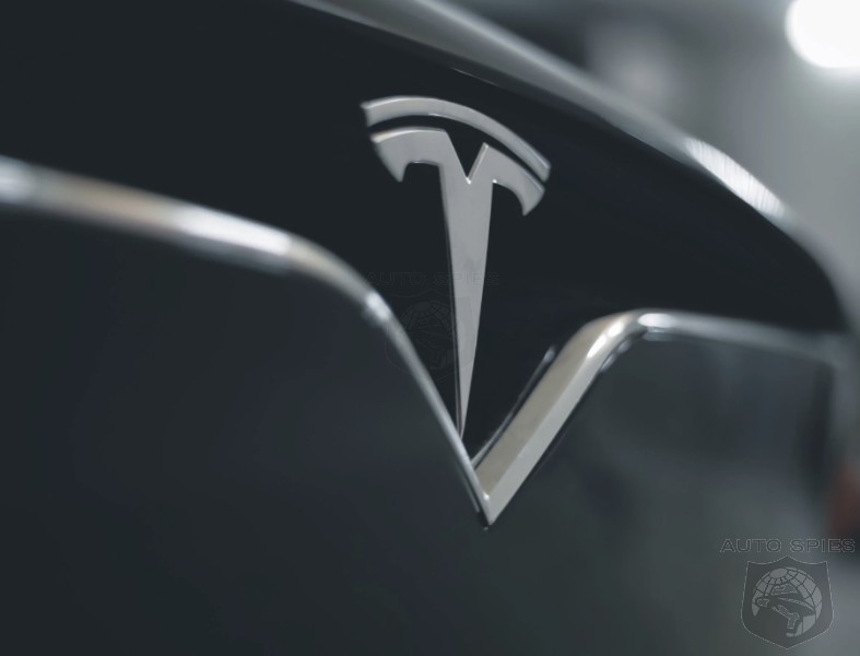 Insurance Company Refuses To Pay Tesla Claim Due To Costs